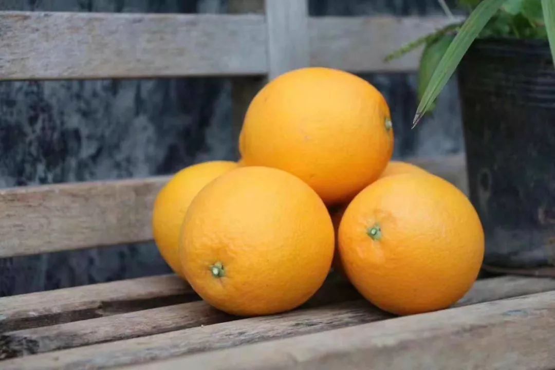 脐橙的功效与作用，这些功效与作用你知道吗？