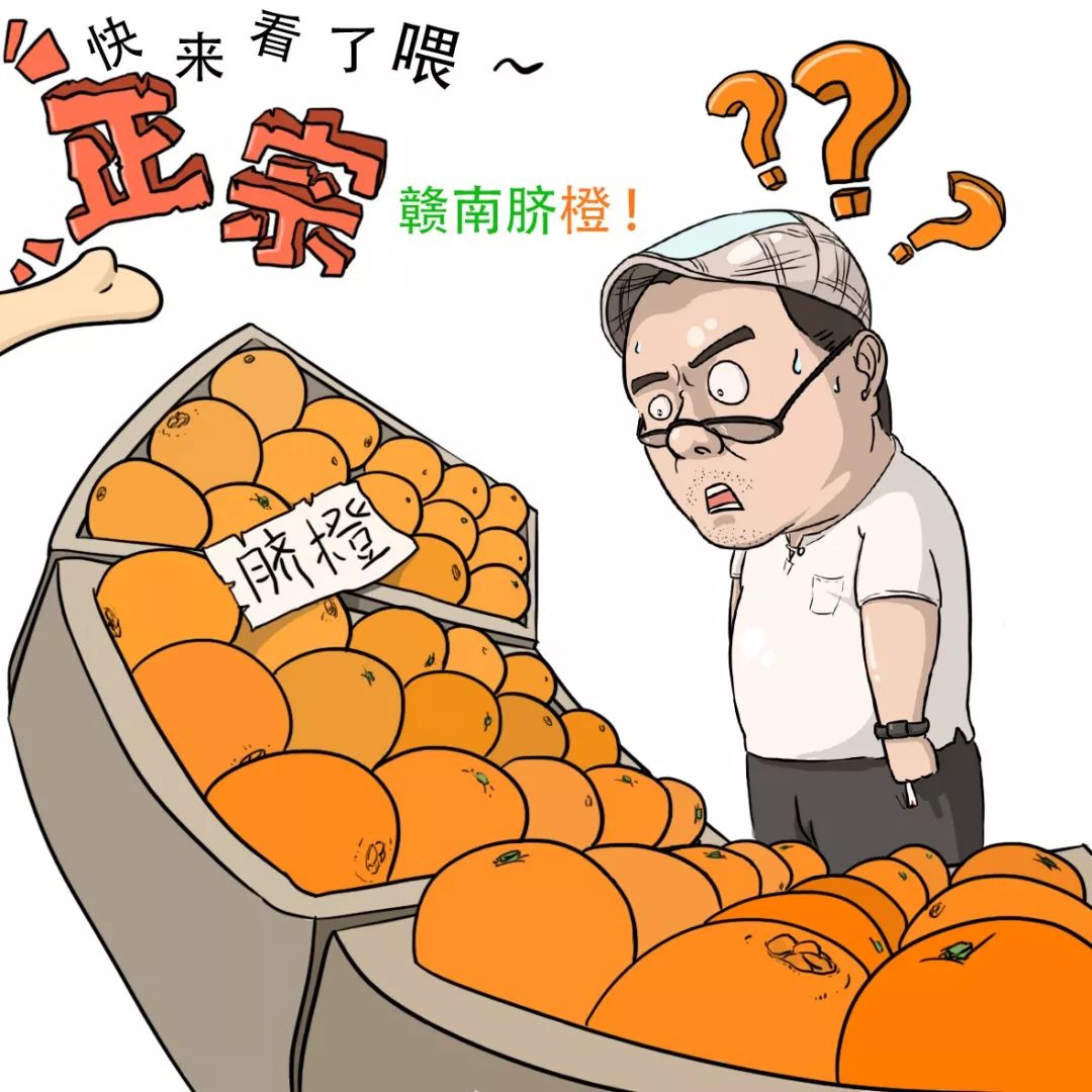 赣南脐橙“产地赣州”竟从外地发货？教你几招“打李鬼”！