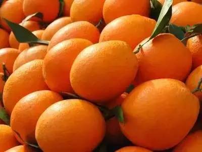 刚刚，2021赣南脐橙博览会盛大开幕！