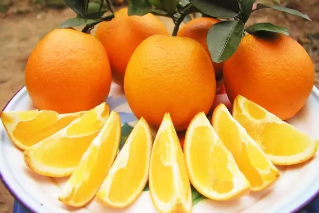 【赣州生活】赣南脐橙的功效与作用，99%的赣州人不知道