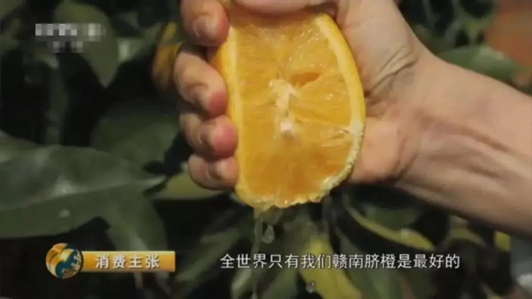 中国脐橙看赣南，赣南脐橙看安远