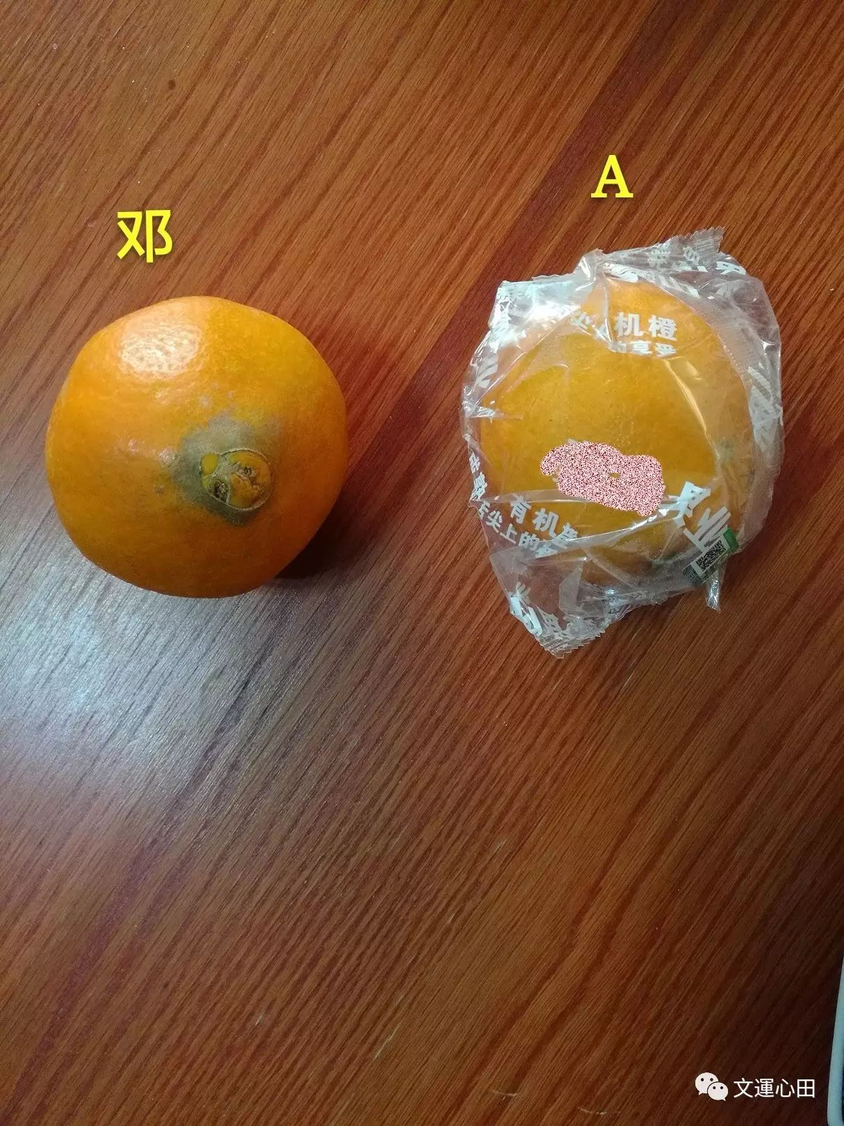 有图有真相：关于脐橙质量的对比分析