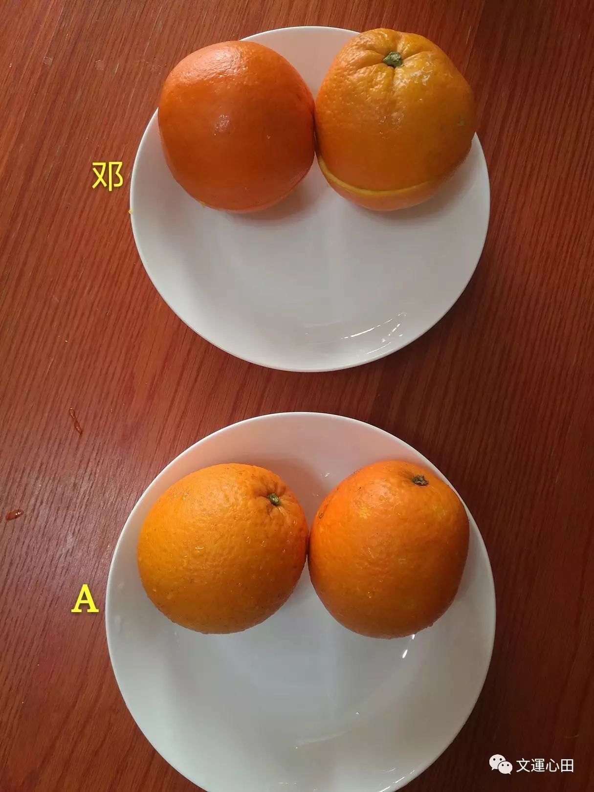 有图有真相：关于脐橙质量的对比分析