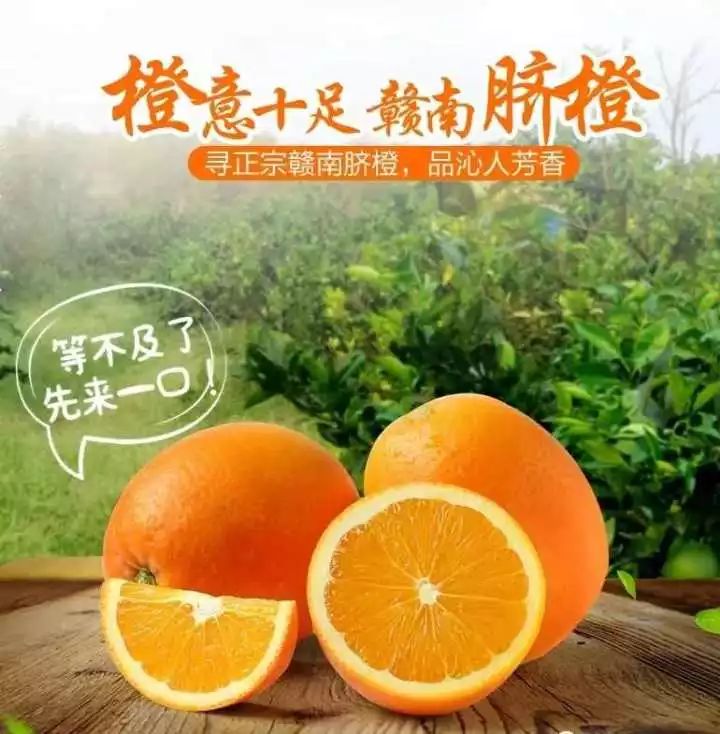 2018年武阳赣南脐橙开始招代理啦！（文中图片为实拍）