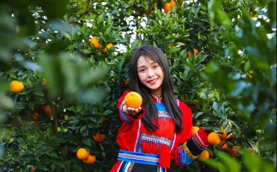 广西富川脐橙好吃吗？