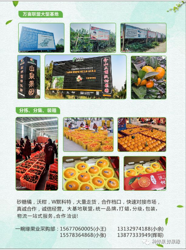 桂林一畹缘果业：给种植户提供保姆式服务的专业运营商