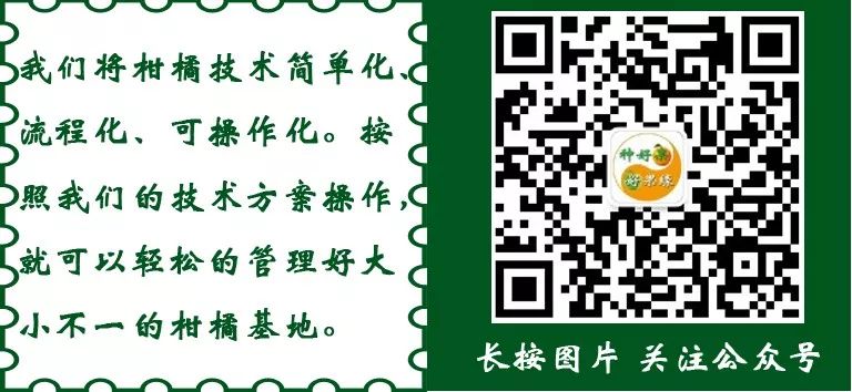 桂林一畹缘果业：给种植户提供保姆式服务的专业运营商